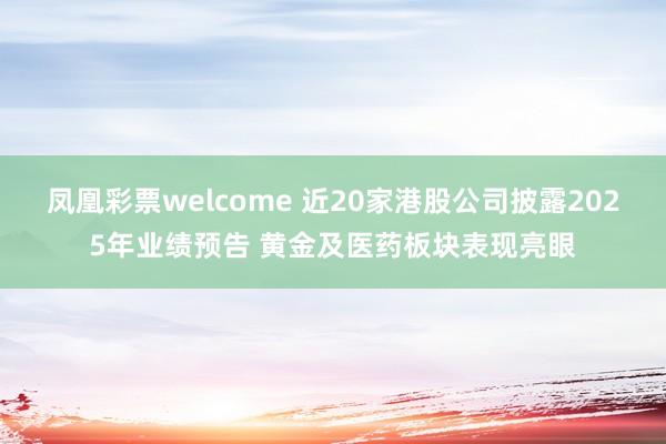 凤凰彩票welcome 近20家港股公司披露2025年业绩预告 黄金及医药板块表现亮眼