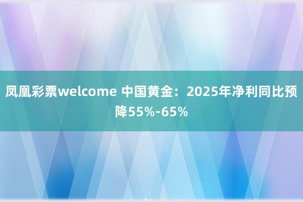 凤凰彩票welcome 中国黄金：2025年净利同比预降55%-65%
