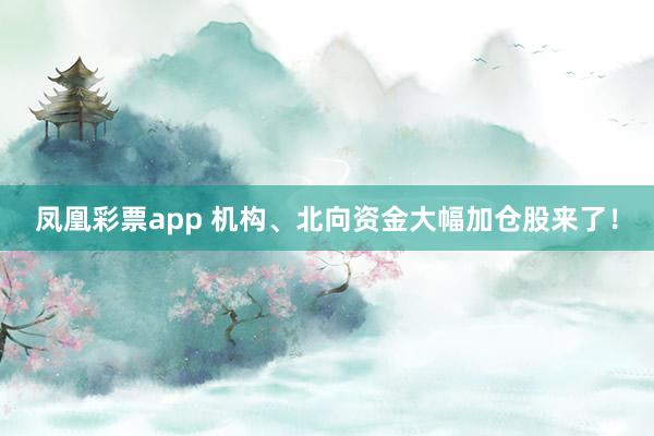 凤凰彩票app 机构、北向资金大幅加仓股来了！