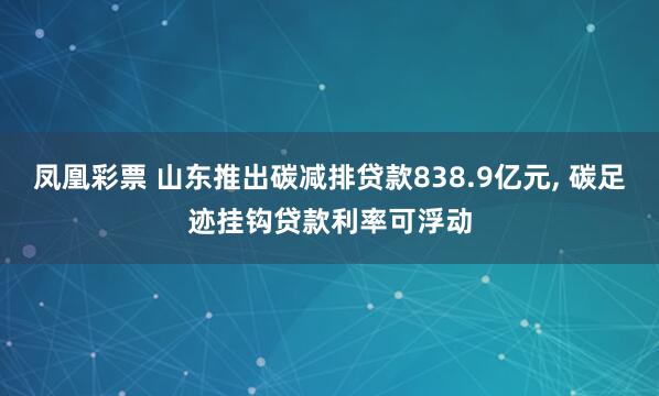 凤凰彩票 山东推出碳减排贷款838.9亿元， 碳足迹挂钩贷款利率可浮动