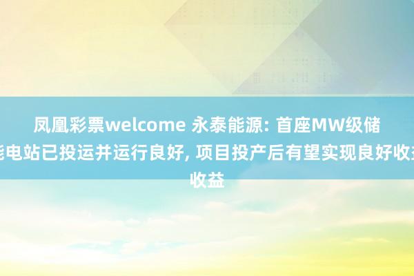 凤凰彩票welcome 永泰能源: 首座MW级储能电站已投运并运行良好， 项目投产后有望实现良好收益