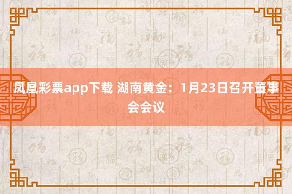 凤凰彩票app下载 湖南黄金：1月23日召开董事会会议