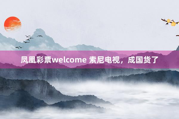 凤凰彩票welcome 索尼电视，成国货了