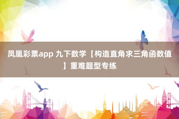 凤凰彩票app 九下数学【构造直角求三角函数值】重难题型专练