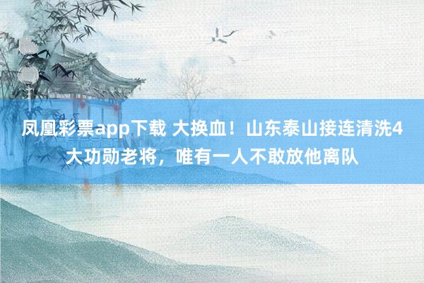 凤凰彩票app下载 大换血！山东泰山接连清洗4大功勋老将，唯有一人不敢放他离队