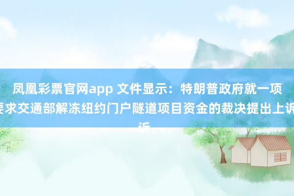 凤凰彩票官网app 文件显示：特朗普政府就一项要求交通部解冻纽约门户隧道项目资金的裁决提出上诉。